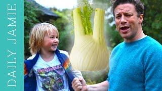 LETS TALK ABOUT FENNEL  Jamie Oliver