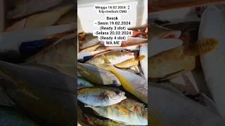 GASKAN HU WA 081237435153 #torotorofishingtripbali