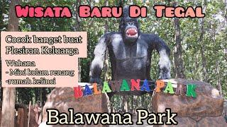 Wisata Baru Di Tegal - Balawana Park Balapulang