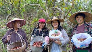 I went chestnut picking with my family again.We had a great harvest and it was so enjoyable