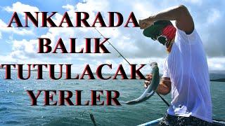 ANKARADA BALIK TUTULACAK YERLER