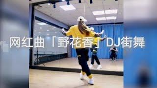 抖音热门歌曲“野花香”Dj 舞蹈 Ye Hua Xiang Dance Collections