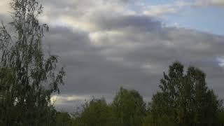 Timelapse Clouds & Trees 4K 23082017