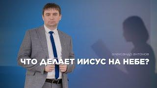 Что делает Иисус на небе?  - Александр Антонов