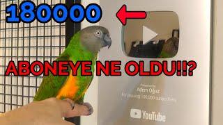 YOUTUBE KANALIMIZ  NEDEN KAPANDI