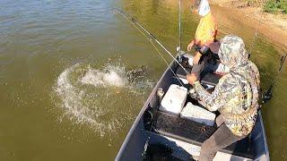 Asi es la pesca en el rio Ele  amarillos palometas y barbianchos en aguas repletas de caimanes