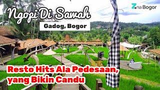 Ngopi Di Sawah Gadog Bogor  Resto Hits Ala Pedesaan yang Bikin Candu
