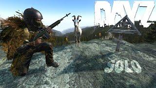 DayZ Solo Living a Realistic DayZ Story on Official #dayz