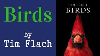 Birds by Tim Flach  -  Art Book -  Reference Photos  -  Art Photography