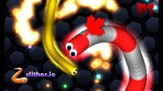 Slither.io Pro Killer Snake Huge Traps 50k Score Epic Slitherio Gameplay