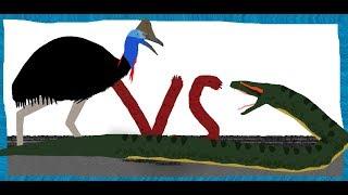 Pivot Battle Arena Anaconda VS Cassowary