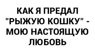 Как я предал рыжую кошку - мою настоящую любовь