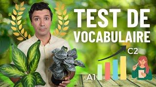 Can you talk about the environment in French? Take the test on 20 points