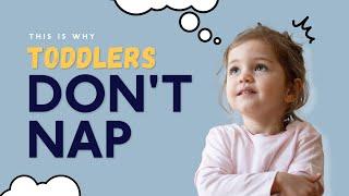 Why Your Toddler Is Rejecting Naps