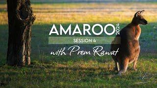 Amaroo 2024 Session 4 A glimpse