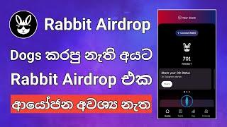 Dogs කරපු නැති අයට Rabbit Airdrop එක  Rabbit Airdrop  Telegram Airdrop  New Airdrop