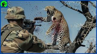 How Do United States  Hunters Deal With Invasive Leopard Populations   Farming Documentary