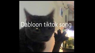 Dabloon full tiktok song SUBTITLES ON