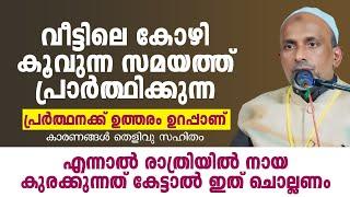 വീട്ടിലെ കോഴി കൂവുന്ന സമയത്ത് പ്രാർത്ഥിക്കുന്ന പ്രർത്ഥനക്ക് ഉത്തരം ഉറപ്പാണ് RAHMATHULLA QASIMI 2024