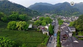 Hangzhou West Lake Longjing Tea Plantation