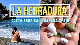 La Herradura Granada Spain - Costa Tropical The best spot for Snorkeling and Dolphin watch.