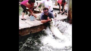 SLOW MOTION Fish Grabs Mans Arm THE Original Video - Tarpon Smackdown