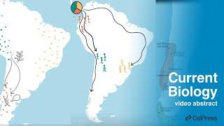 Genetic traces of the prehistory of Chile  Curr. Biol. June 5 2023 Vol. 33 Issue 13