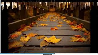 Відео осінь на заставку до дня осіннього іменинника свята осені презентація осінь.