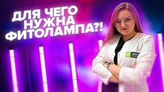 ФИТОЛАМПЫ - ОБМАН ИЛИ НЕОБХОДИМОСТЬ?