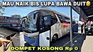 Mau Naik Bis Tapi Lupa Bawa Duit  Isi Dompet Kosong Gaada Uang ️ trip Muncul AD 7246 OA