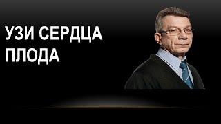 Ультразвуковое исследование сердца плода