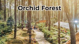 Orchid Forest Lembang  Nikmati keindahan alam Cikole