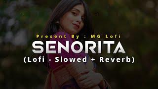 Senorita  Lofi - Slowed + Reverb  Zindagi Na Milegi Dobara  Hrithik Roshan  MG Lofi