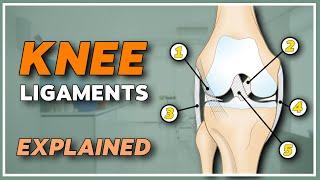 The 5 knee stabilizing ligaments - anatomy and function explained