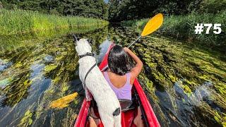 Spływ przepiękną Krutynią Mazury #75