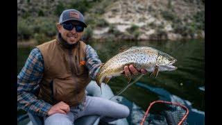 CATCHING TIGER TROUT