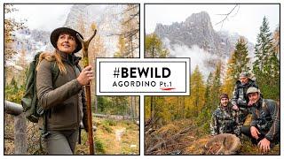 #BeWild ep.1 - Agordino pt.1   Caccia al Capriolo nelle Dolomiti