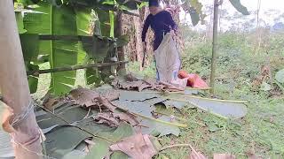 10 days of building a bamboo house starting life as a single mother