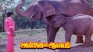 Annai Oru Aalayam Feel Good Climax Scene  Evergreen Hit Movie  Rajinikanth  Sripriya  Video Park