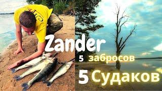 ZANDER  5 забросов -5 СУДАКОВ. ОСЕНЬ. Вилейское водохранилище.