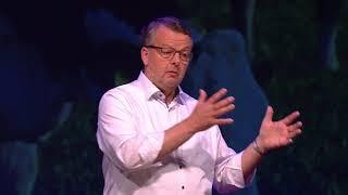 Innovative solution for animal feed  Peter van Paridon  TEDxVenlo