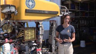 ROV Pilot Career Profile  Nautilus Live