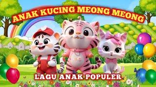 KOMPILASI LAGU ANAK INDONESIA - LAGU ANAK KUCING MEONG MEONG DAN LAGU ANAK LAINNYA POPULER 2024