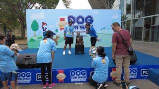 ANJING KAMPUNG JADI TAMU SPECIAL ‼️ PERTAMA KALI KING FLOKI IKUT DOG FUN WALK ‼️