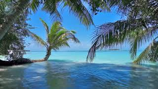 Шум Моря Шум Прибоя Релакс Музыка для Сна Ocean Ambience on a Tropical Шум океана Музыка для сна