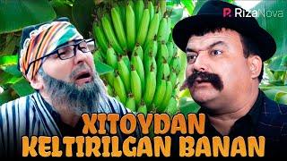 Shordanak - Xitoydan keltirilgan Banan hajviy korsatuv