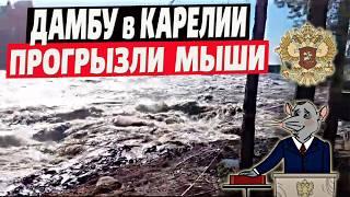 В Карелии прорвало дамбу – смыло целый посёлок Очередной российский прорыв