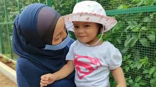 HAI SHIREEN LIBURAN DI THE JOGLO GARDEN BEKASI KEBUN BINATANG KECIL