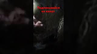 УЖАС на старом чердаке