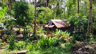 Simple At Sustainable Life Dito Sa Aming Little Paradise Sa Bukid
